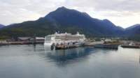 skagwayakpearl_small.jpg